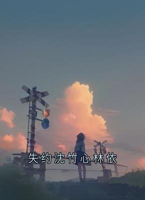 失约沈竹心林依