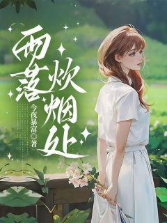 妈妈二婚当天，我被暴徒掳走