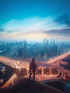 陆淮年封昭昭