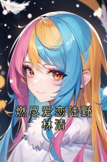 燃尽爱恋陆野林清