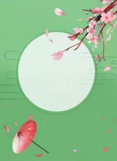 明月不照归人刃