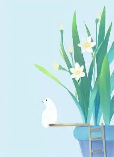 冬至爱已冷