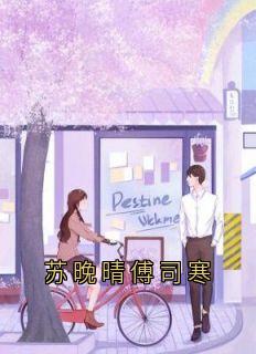苏晚晴傅司寒
