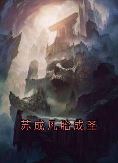 苏成凡胎成圣