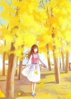 陆昭野苏渺渺