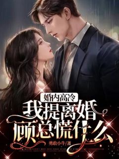 简宁顾宴铭小说(婚内高冷，我提离婚顾总慌什么)_简宁顾宴铭小说最新章节