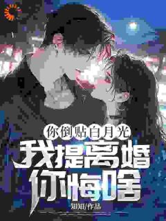 你倒贴白月光，我提离婚你悔啥