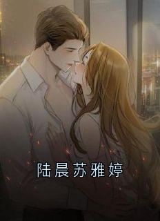 《陆晨苏雅婷》小说好看吗 陆晨苏雅婷程岩最后结局如何