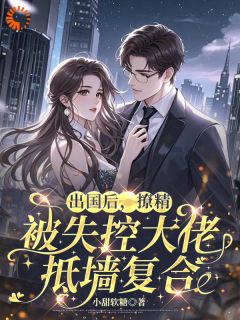 沈星媛陆冷时《出国后，撩精被失控大佬抵墙复合》全章节免费阅读