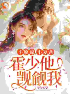 乖兔兔写的小说不原谅，不复合，霍少他觊觎我在线阅读