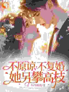 被害流产，我出国前夫用命换我回头