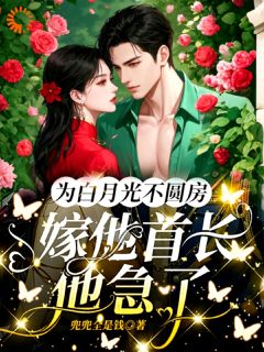 【为白月光不圆房，嫁他首长他急了】小说在线阅读-为白月光不圆房，嫁他首长他急了免费版目录阅读全文