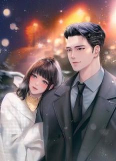 陈宇苏晴林晚全本章节在线阅读大结局