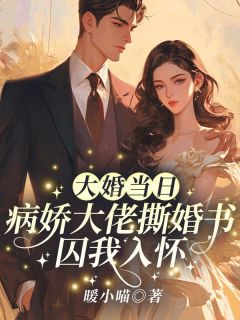 孟晚澄沈听澜主角的小说完结版《大婚当日，病娇大佬撕婚书囚我入怀》全集
