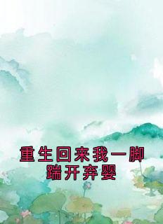 重生回来我一脚踹开弃婴小说(连载文)-沈淮之沈晓雪顾清清无广告阅读