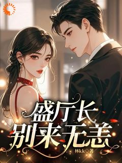 《盛厅长别来无恙》小说白筱帆盛延免费阅读