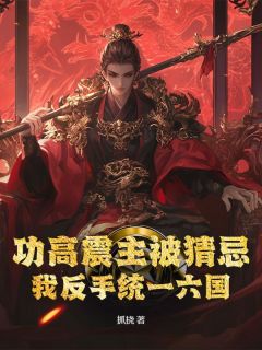 快手热文《功高震主被猜忌？我反手统一六国》林羽周冰雪小说推荐