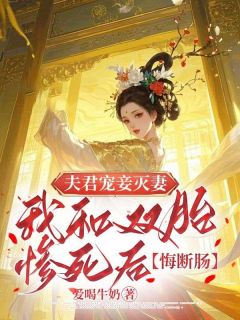 良心推荐夫君宠妾灭妻，我和双胎惨死后他悔断肠小说试读