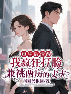 重生后清醒，我疯狂打脸兼祧两房的丈夫小说全集(陈意傅深言)无弹窗广告阅读
