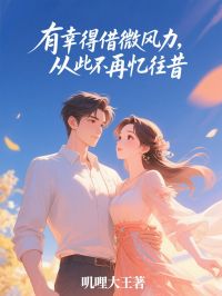 有幸得借微风力，从此不再忆往昔全集小说_宋婉叶景淮完结版阅读
