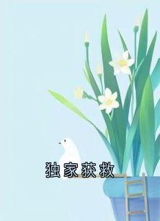 《独家获救》无广告阅读 林微沈行川秦野免费在线阅读