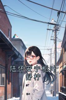 陆怀安宁栀叶舒柠