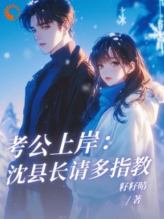 抖音热推小说《考公上岸：沈县长请多指教！》全文在线阅读