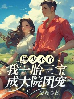 《江舒棠穿越生三娃》by舒莓免费阅读小说大结局