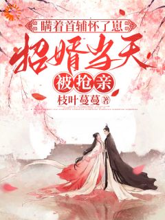 《怀了首辅的崽，我却只想给娃找后爹》小说全章节目录阅读BY枝叶蔓蔓完结版阅读