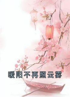 爆款小说《暖阳不再照云雾》主角秦烟萧闻定全文在线完本阅读