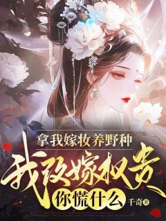 《拿我嫁妆养野种，我改嫁权贵你慌什么》胡茵茵季忱小说全章节最新阅读