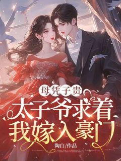 夏时谢长宴《母凭子贵：太子爷求着我嫁入豪门》全文(夏时谢长宴)章节免费阅读