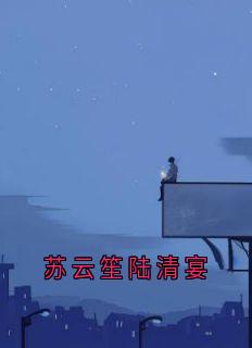 苏云笙陆清宴
