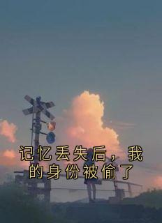 记忆丢失后，我的身份被偷了