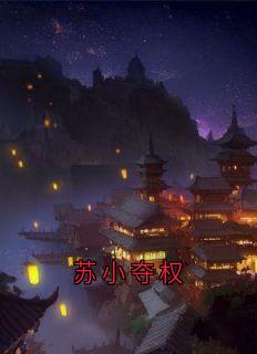 苏小夺权