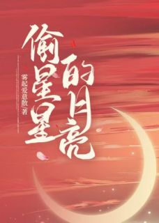 主角是黎岁冉顾喻成的小说偷星星的月亮最完整版热门连载