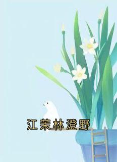江茉林澄野