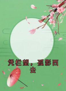 凭栏望，孤影西去