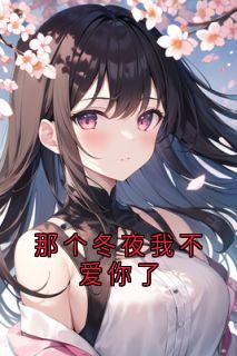 那个冬夜我不爱你了