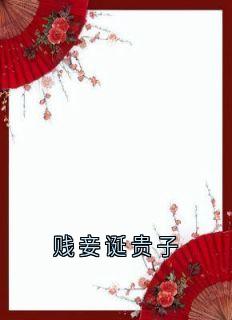 贱妾诞贵子