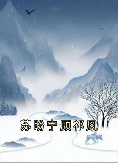 苏盼宁顾祁风